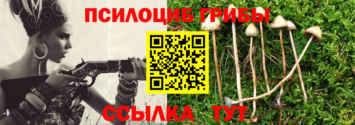 Псилоцибиновые грибы мицелий  Псилоцибиновые грибы ЛСД  Северобайкальск  Вход с VPN 