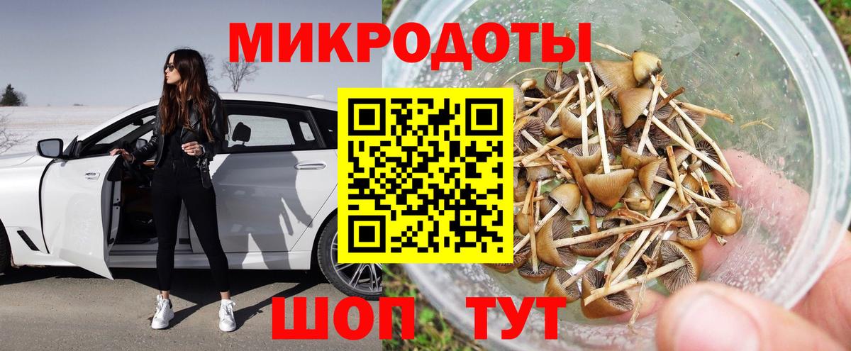 Галлюциногенные грибы Magic Shrooms Северобайкальск