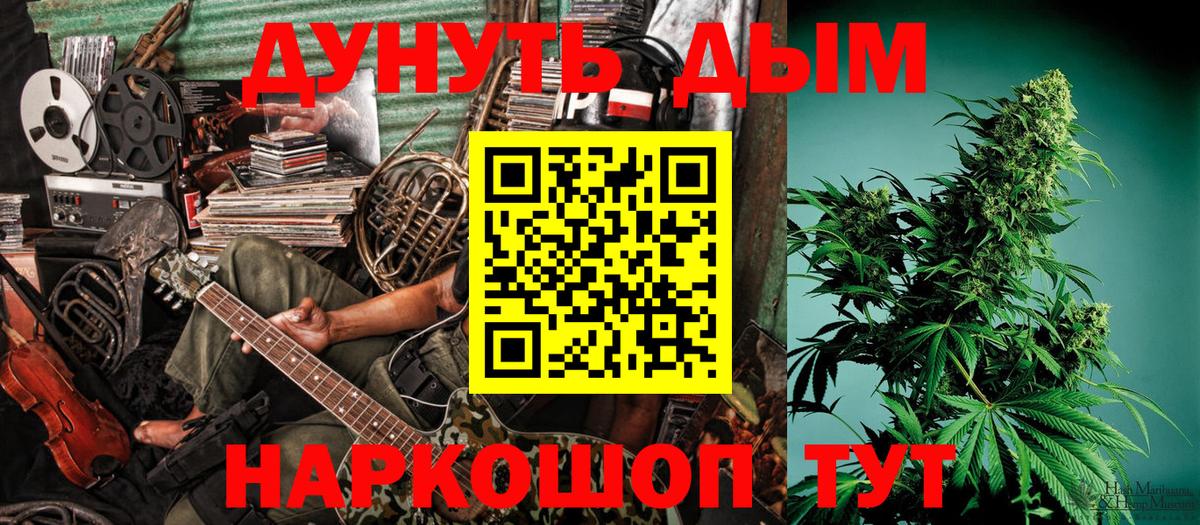 Конопля сатива Северобайкальск